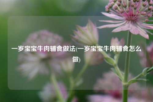 一岁宝宝牛肉辅食做法(一岁宝宝牛肉辅食怎么做)