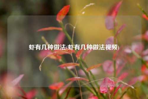 虾有几种做法(虾有几种做法视频)