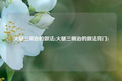 火腿三明治的做法(火腿三明治的做法窍门)
