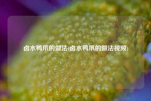 卤水鸭爪的做法(卤水鸭爪的做法视频)