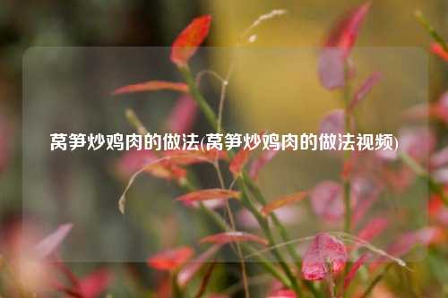 莴笋炒鸡肉的做法(莴笋炒鸡肉的做法视频)