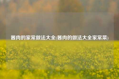 酱肉的家常做法大全(酱肉的做法大全家常菜)