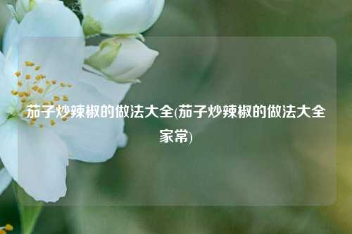 茄子炒辣椒的做法大全(茄子炒辣椒的做法大全家常)