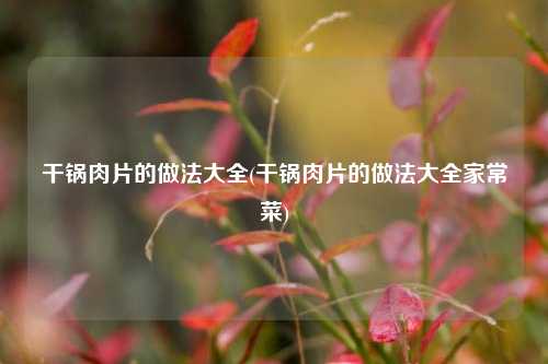 干锅肉片的做法大全(干锅肉片的做法大全家常菜)