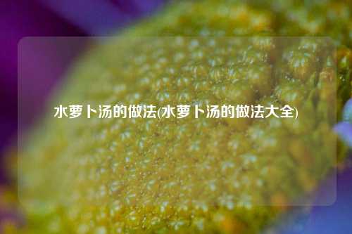 水萝卜汤的做法(水萝卜汤的做法大全)
