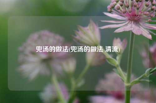兜汤的做法(兜汤的做法 清流)