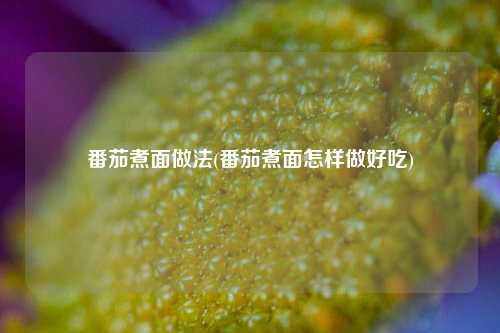 番茄煮面做法(番茄煮面怎样做好吃)