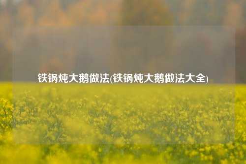 铁锅炖大鹅做法(铁锅炖大鹅做法大全)