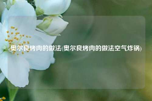 奥尔良烤肉的做法(奥尔良烤肉的做法空气炸锅)
