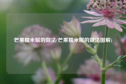 芒果糯米糍的做法(芒果糯米糍的做法图解)