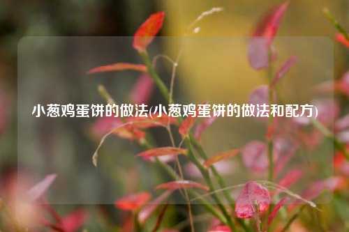 小葱鸡蛋饼的做法(小葱鸡蛋饼的做法和配方)
